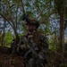 BLT 1/1 conduct Motorized Raid and Reinforcement