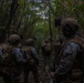 BLT 1/1 conduct Motorized Raid and Reinforcement