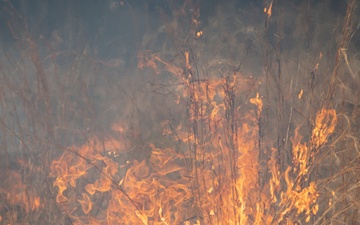 Woodland firestarters gather at Fort Stewart for second year to harvest data, best practices from local prescribed burns
