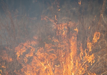 Woodland firestarters gather at Fort Stewart for second year to harvest data, best practices from local prescribed burns