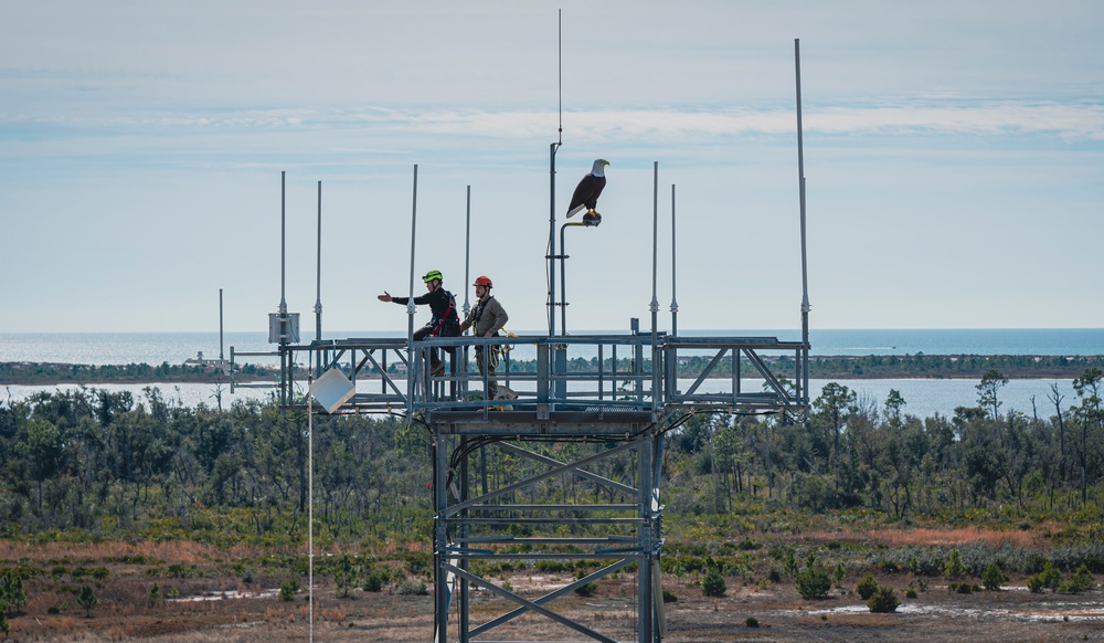 325th CS operates on a different wavelength