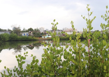 U.S. Army Corps of Engineers (USACE) headquarters Supplemental team traveled to Puerto Rico to meet with the recently commissioned Task Force Virgin Islands Puerto Rico (TF-VIPR)