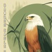 Bamboo Eagle 24-1