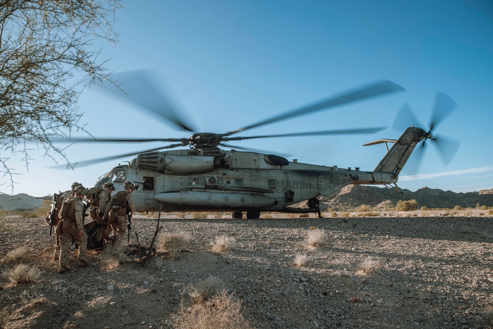 Bravo Company, BLT 1/5 Conducts TRAP Exercise