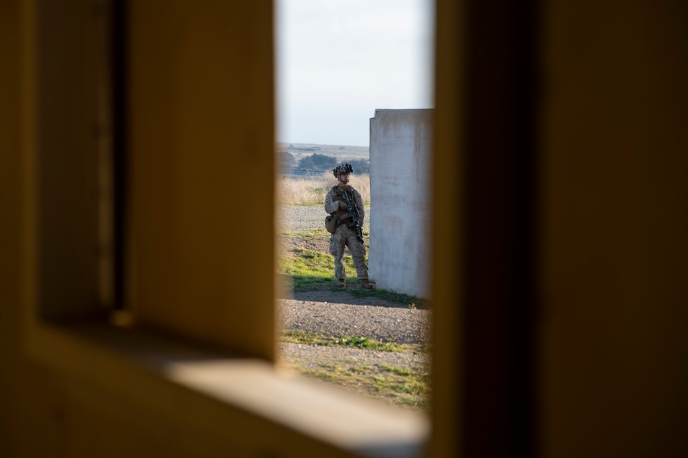 Amphibious Assault: Bravo Company Seizes the Initiative
