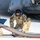 Bamboo Eagle 24-1 Airmen execute first-ever AMC-to-F-22 aircraft-to-aircraft refueling