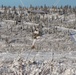 11th Airborne Division Jumps into Donnelly Training Area for JPMRC-AK 24-02