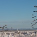 11th Airborne Division Jump into Donnelly Training Area for JPMRC-AK 24-02