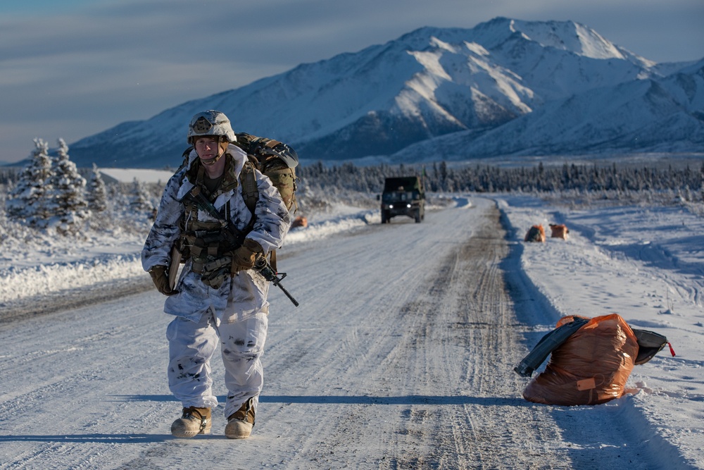 11th Airborne Division Jumps into Donnelly Training Area for JPMRC 24-02