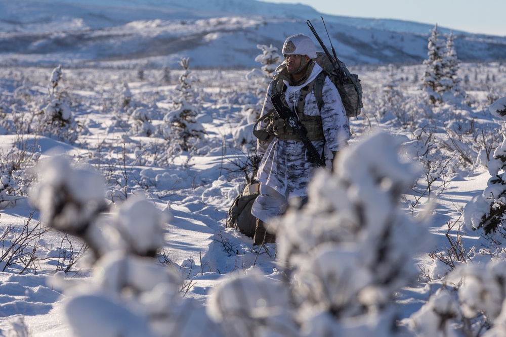 11th Airborne Division Jumps into Donnelly Training Area for JPMRC 24-02