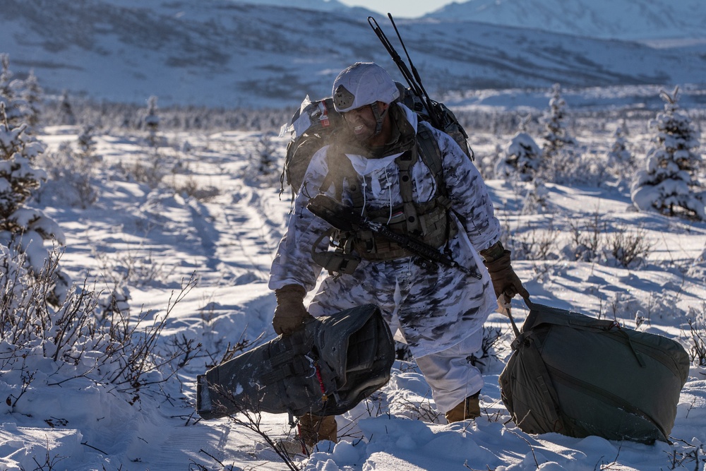 11th Airborne Division Jumps into Donnelly Training Area for JPMRC 24-02