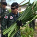 U.S. and Japan Air Self-Defense Airmen conduct Tropical Survival training during Cope North 24