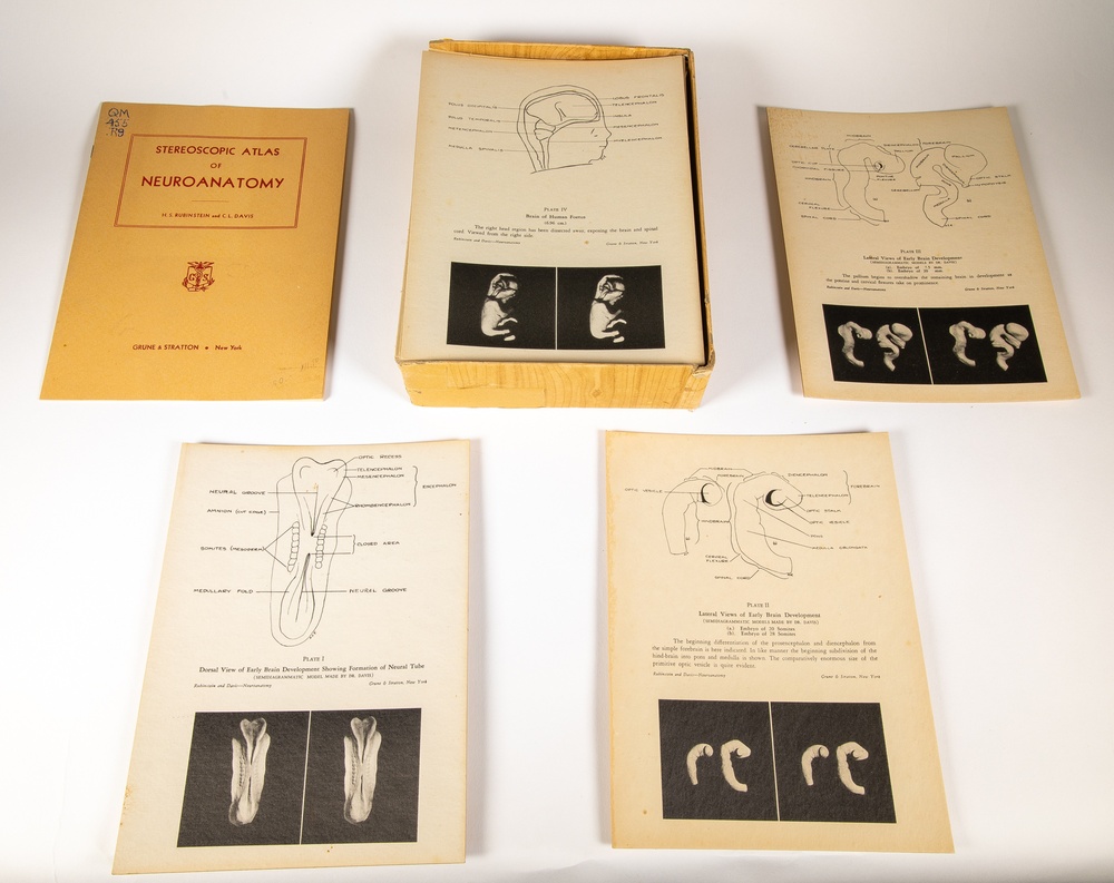 Stereoscopic card set and booklets, from the ‘Stereoscopic Atlas of Neuro Anatomy.’