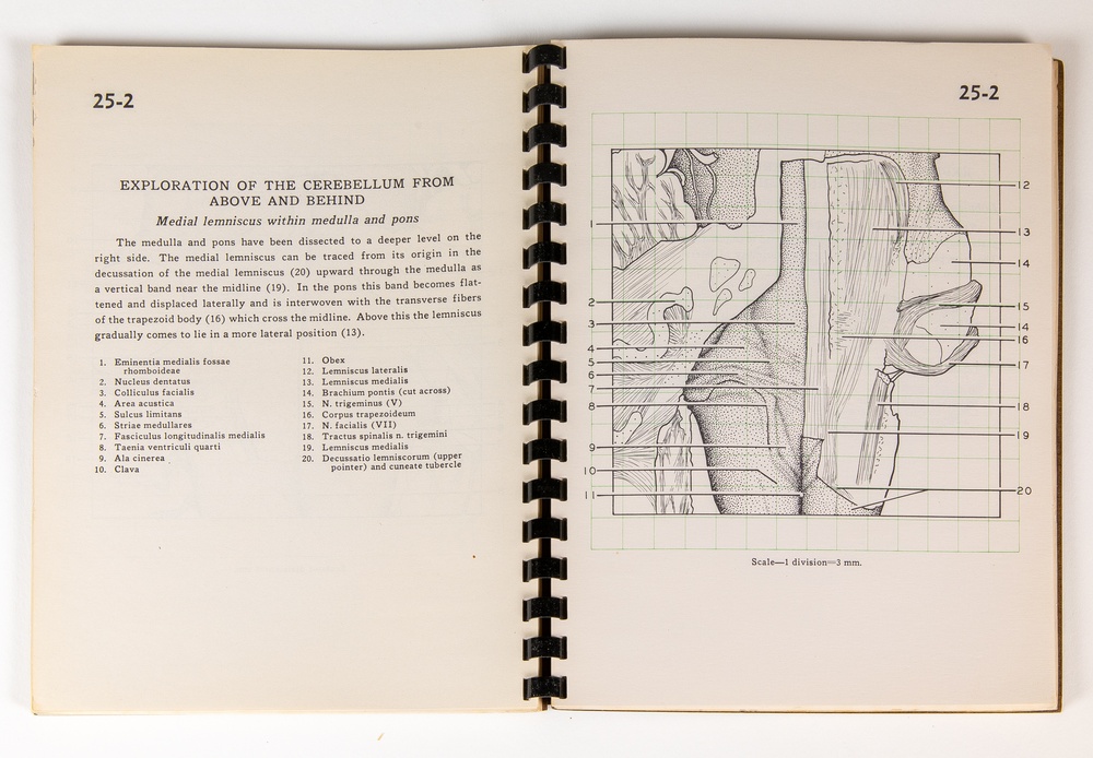 Booklet from the stereoscopic card set ‘Stereoscopic Atlas of Neuro Anatomy.’