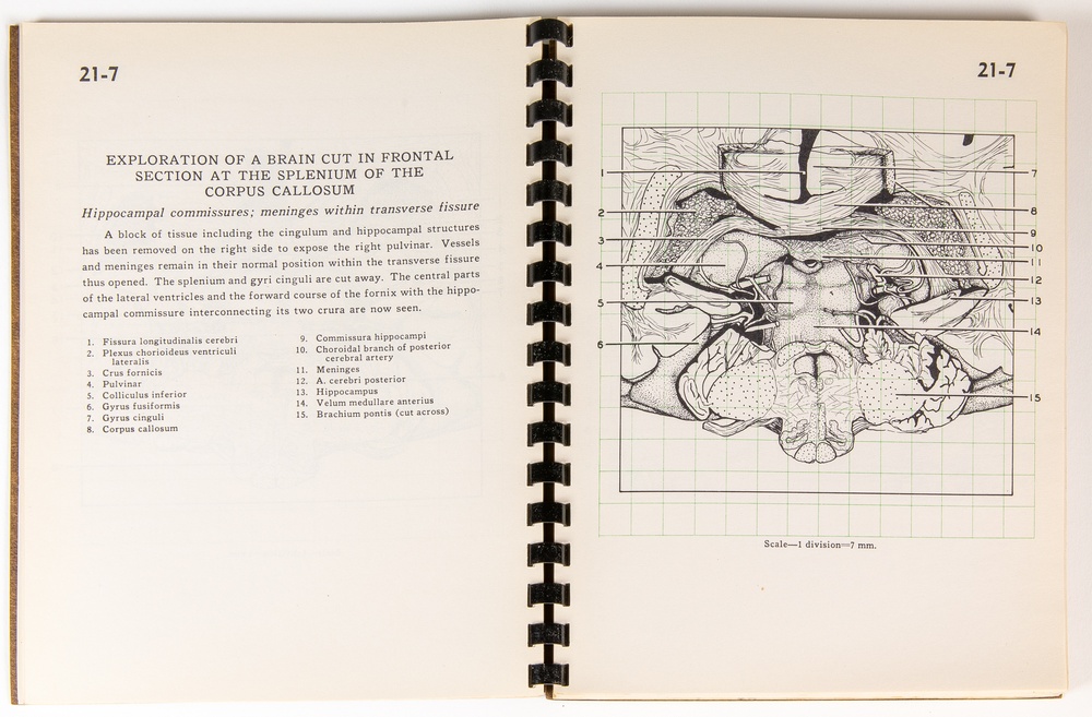 Booklet from the stereoscopic card set ‘Stereoscopic Atlas of Neuro Anatomy.’