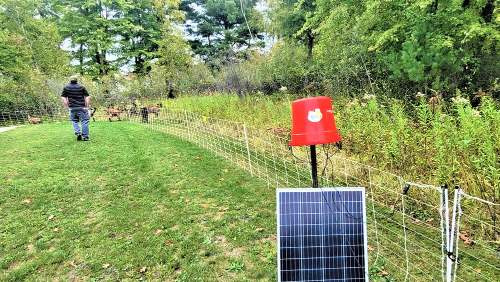 National Invasive Species Awareness Week: Fort McCoy manages extensive effort to control invasive species