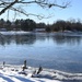Snow falls at Joint Base Andrews