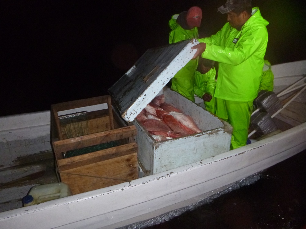 Coast Guard interdicts 6 lancha crews, seizes 1,300 pounds of illegal fish off Texas coast