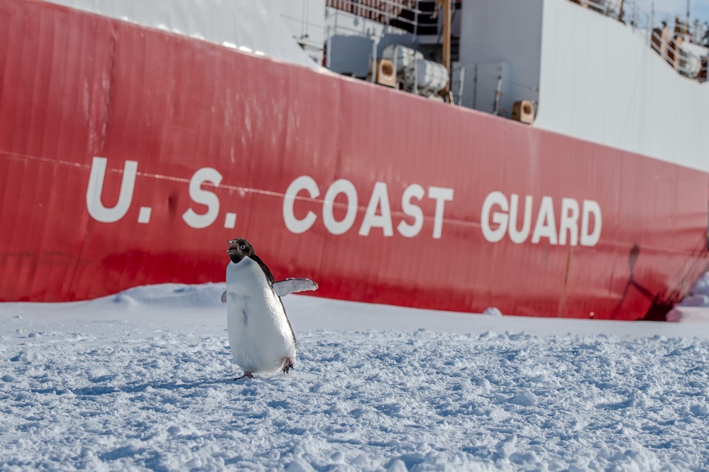 Coast Guard Cutter Polar Star (WAGB 10) crew receives Antarctic Service Medal on Ross Ice Shelf