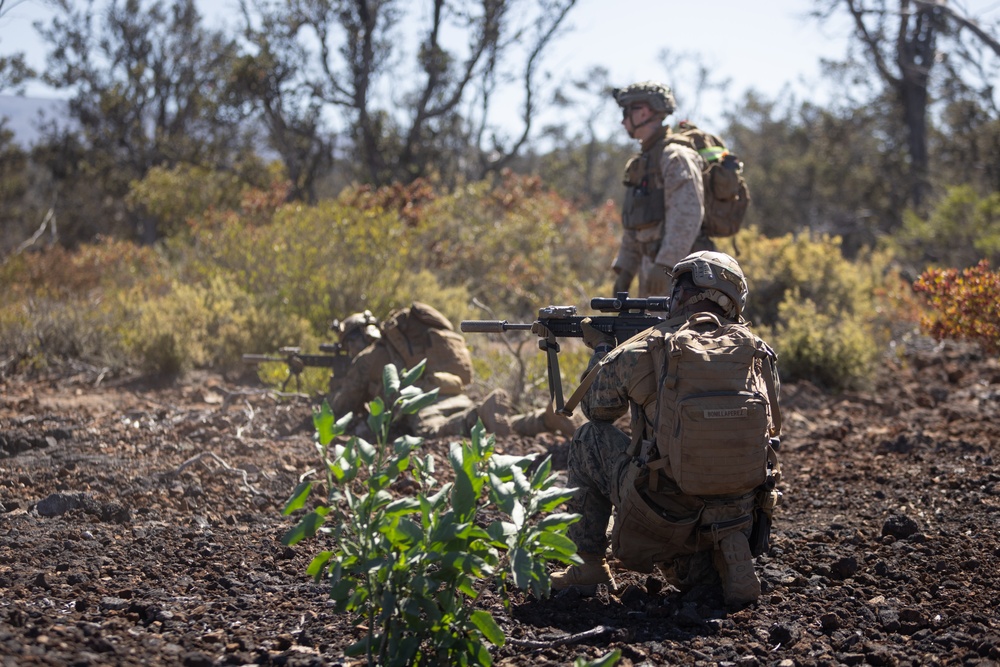 3d LCT Ares Company Attacks