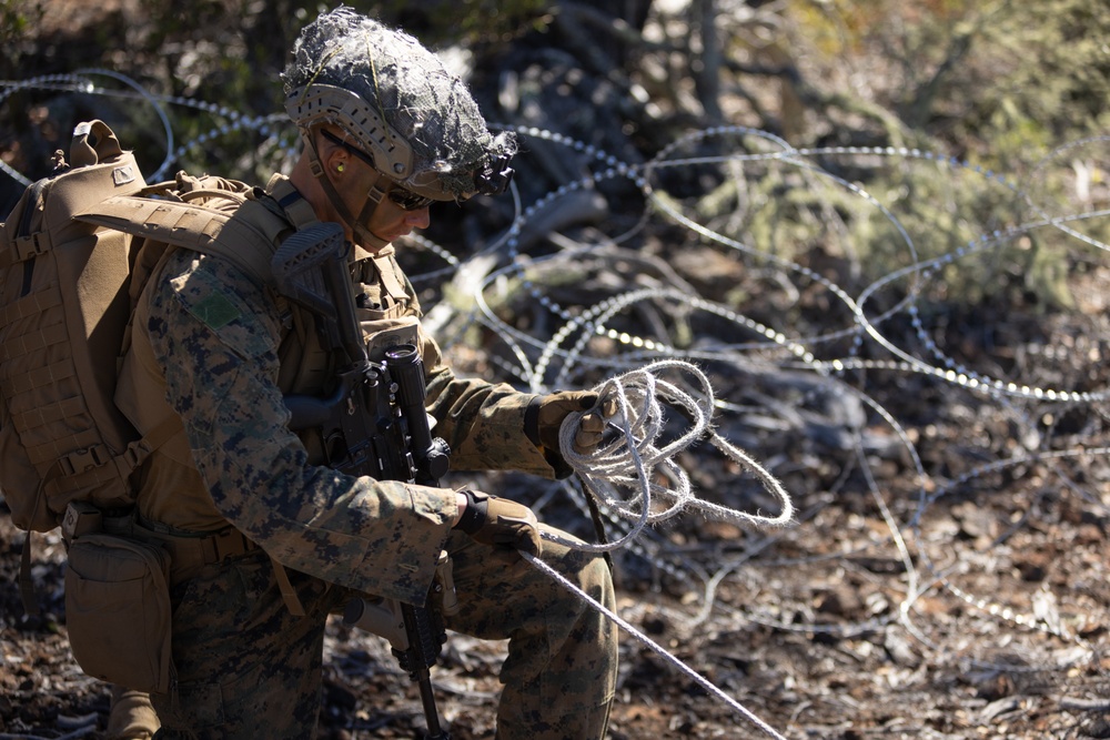 3d LCT Ares Company Attacks