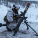 Norwegian Army Showcases the 81 mm Mortar in Arctic Environment with U.S. Marines
