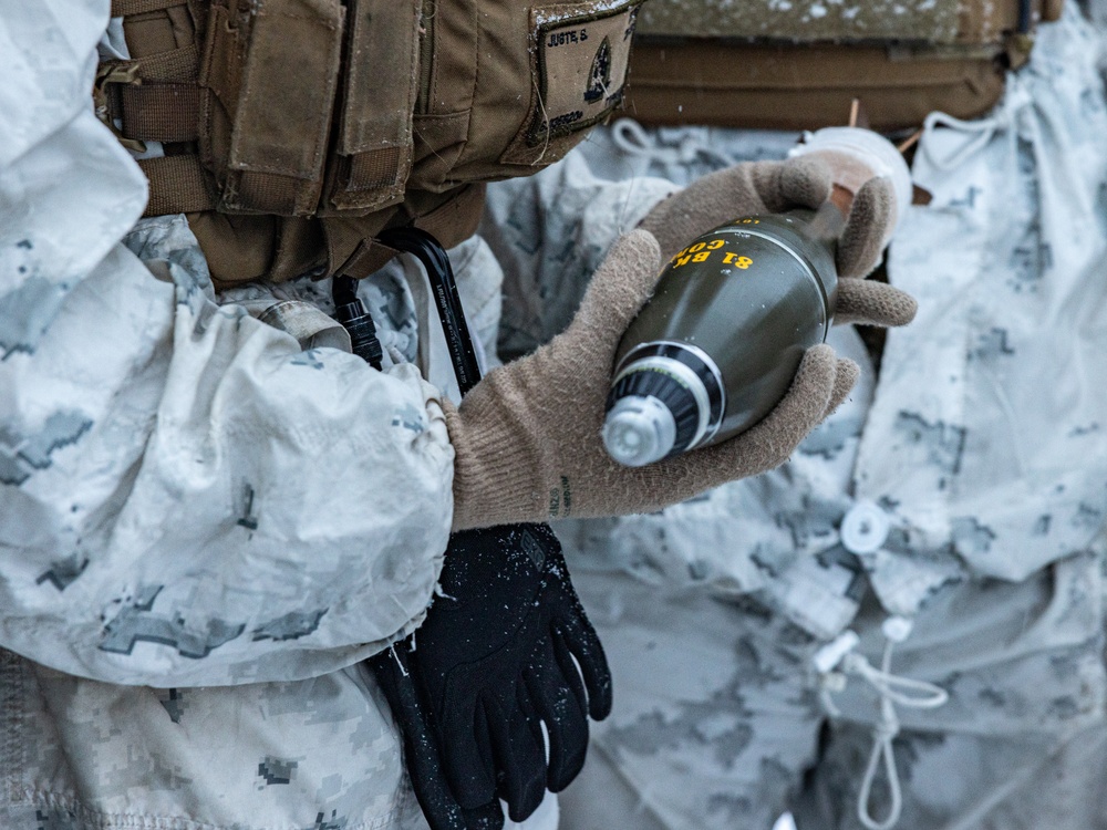 Norwegian Army Showcases the 81 mm Mortar in Arctic Environment with U.S. Marines