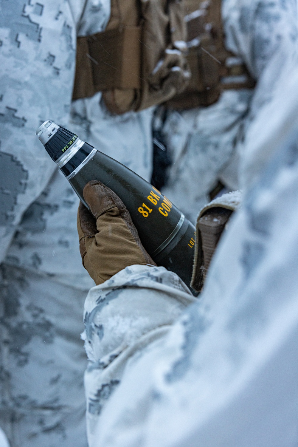 Norwegian Army Showcases the 81 mm Mortar in Arctic Environment with U.S. Marines