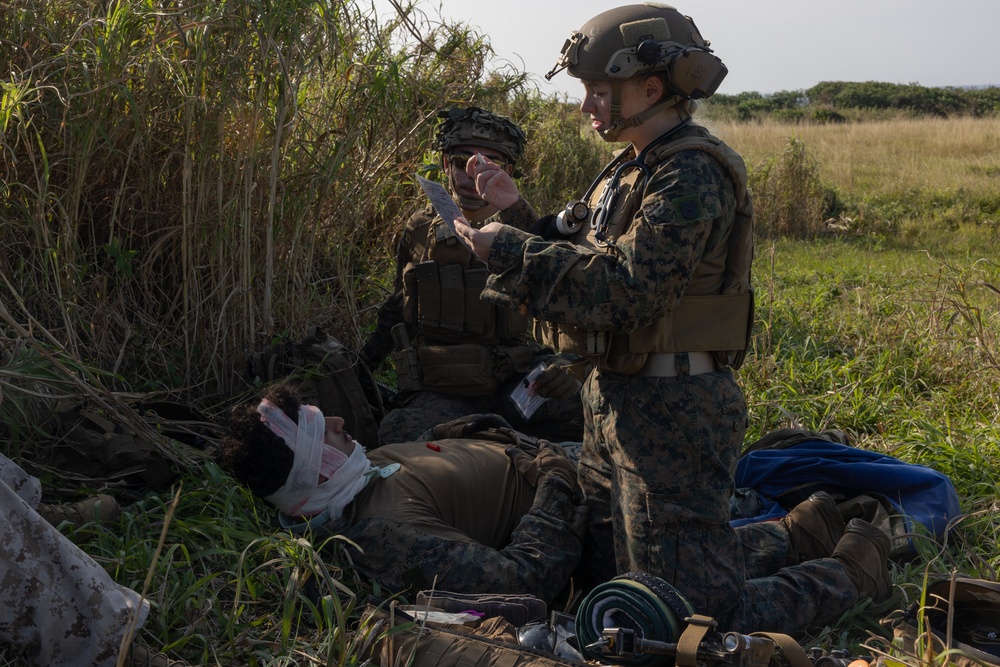 Battalion Landing Team 1/1 conducts helo raid exercise