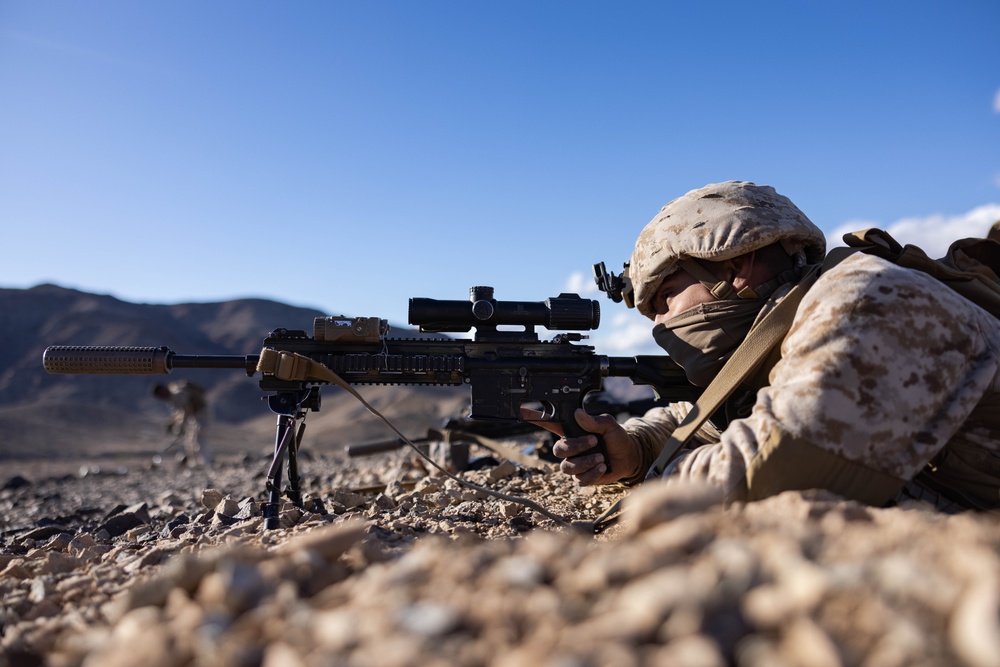 2nd Bn., 4th Marines conducts movement to contact range during SLTE