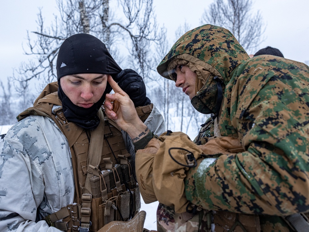 1st Battalion, 2nd Marine Regiment in Cold Weather Training during Nordic Response 24 in Norway