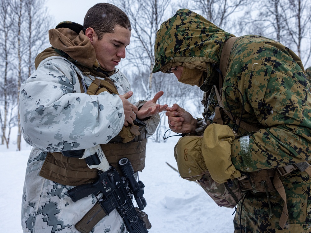 1st Battalion, 2nd Marine Regiment in Cold Weather Training during Nordic Response 24 in Norway