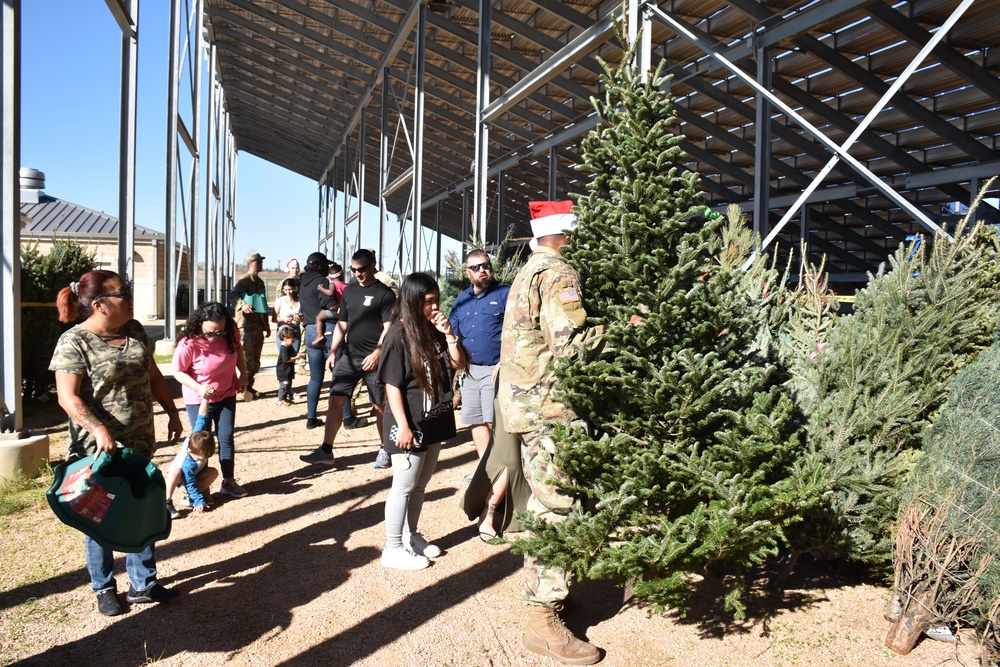 Trees for Troops continues holiday tradition for Soldiers