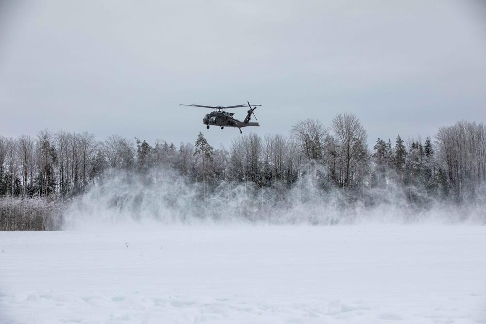 Task Force Marne, Estonian Defense Forces conduct air assault training in Estonia