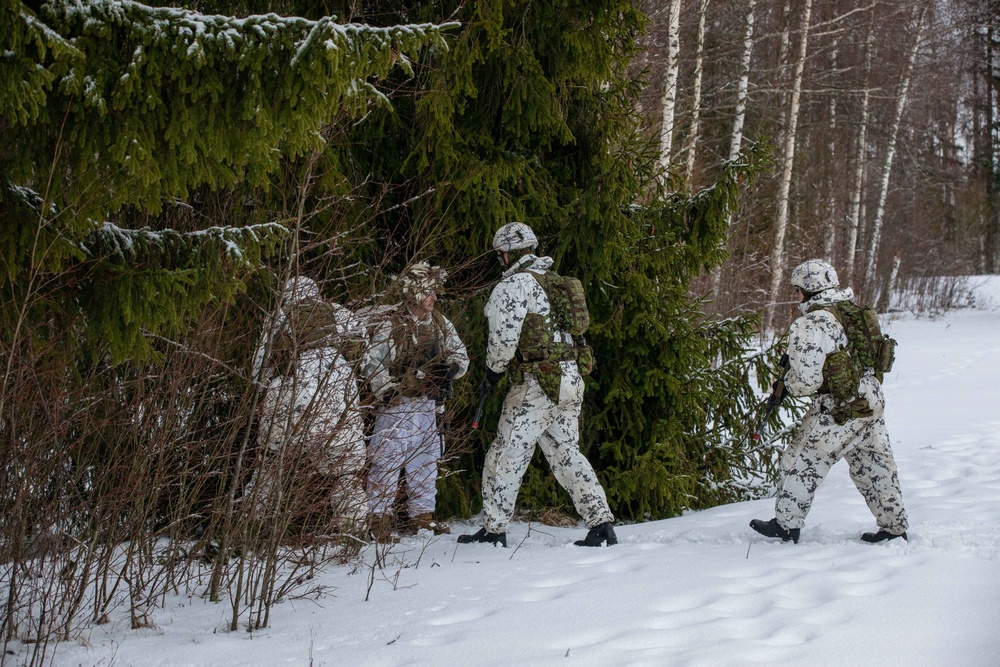 Task Force Marne, Estonian Defense Forces conduct air assault training in Estonia