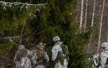 Task Force Marne, Estonian Defense Forces conduct air assault training in Estonia