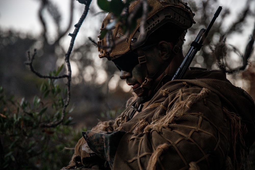 3d LCT IPBC Scouts