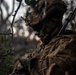3d LCT IPBC Scouts