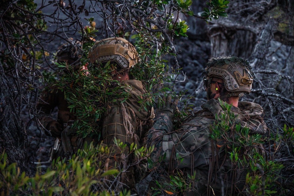 3d LCT IPBC Scouts
