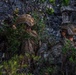 3d LCT IPBC Scouts