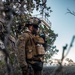 3d LCT IPBC Scouts