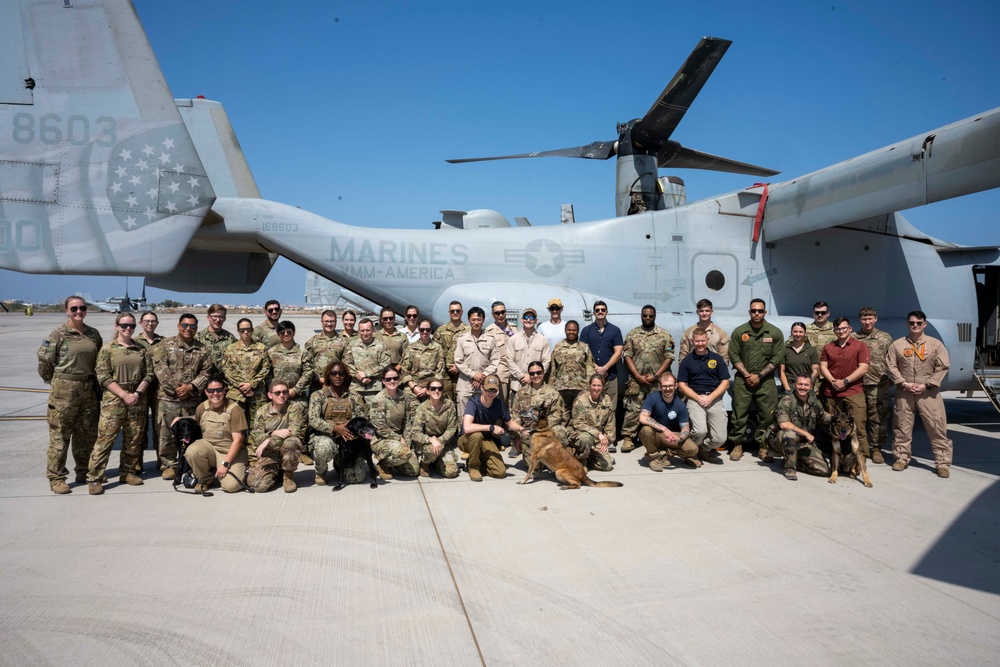 International Military Working Dog Handlers Train Together in K-9 Tactical Combat Casualty Care