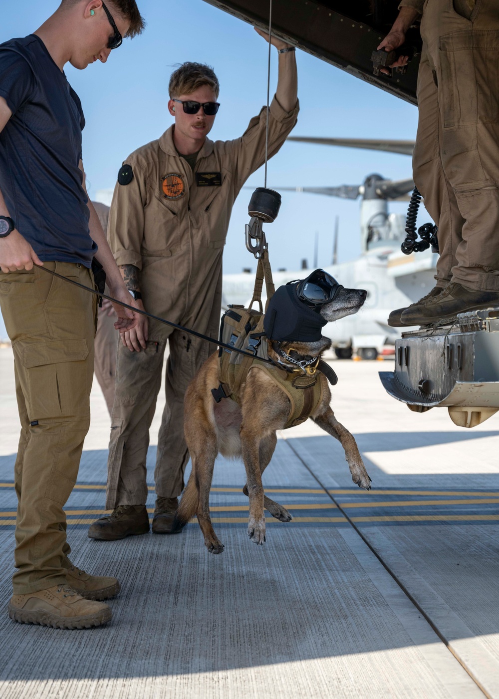 DVIDS - Images - International Military Working Dog Handlers Train ...