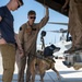 International Military Working Dog Handlers Train Together in K-9 Tactical Combat Casualty Care