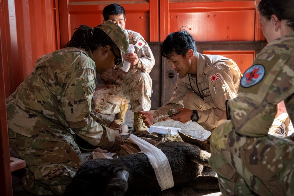 International Military Working Dog Handlers Train Together in K-9 Tactical Combat Casualty Care