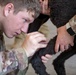 International Military Working Dog Handlers Train Together in K-9 Tactical Combat Casualty Care