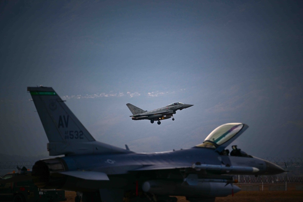 Triple Nickel conducts training with Italian Eurofighter Typhoons