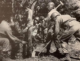 The legacy of Philadelphia’s African American 644th Engineer Battalion