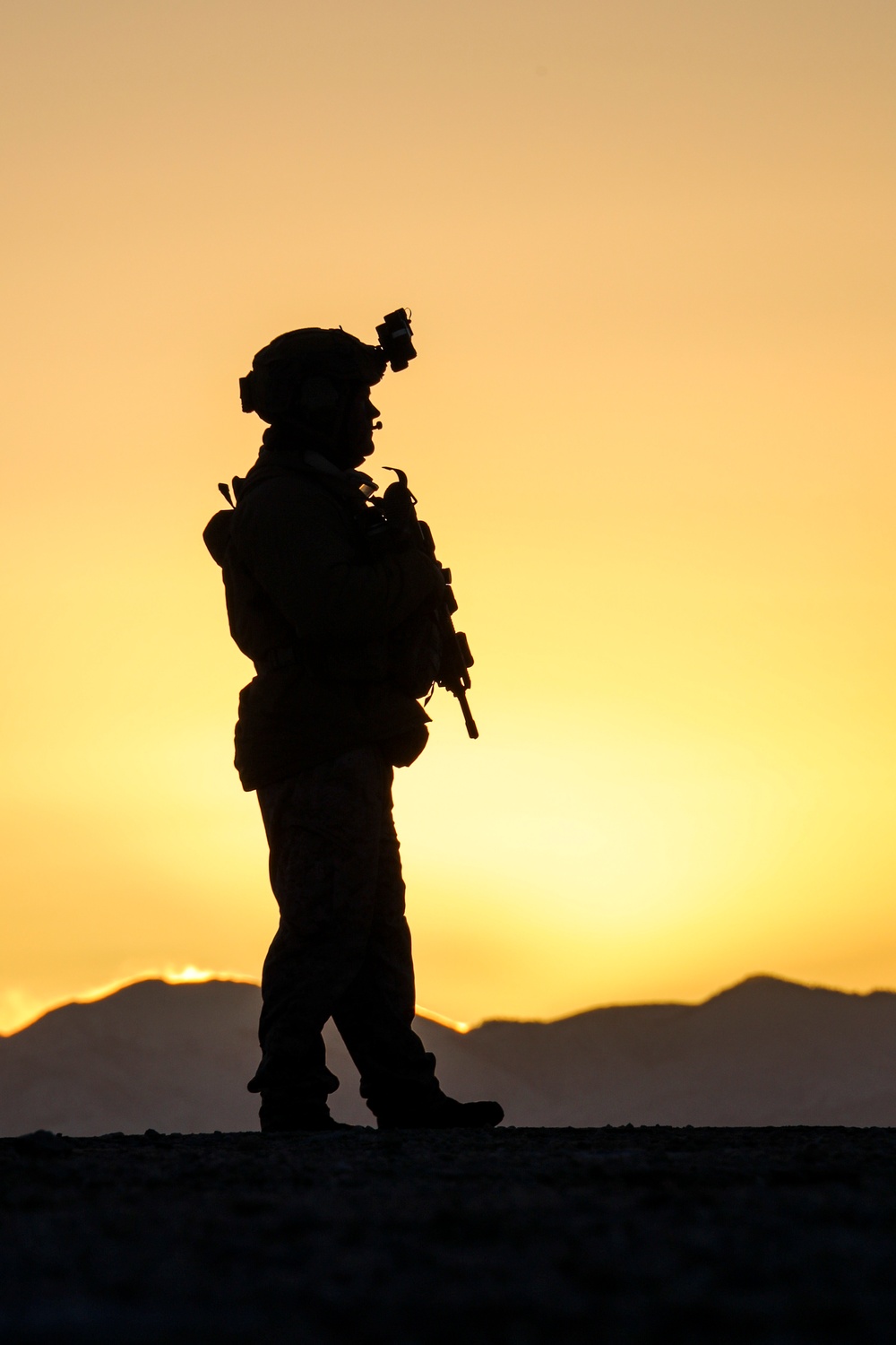 Silhouettes of Valor