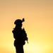 Silhouettes of Valor
